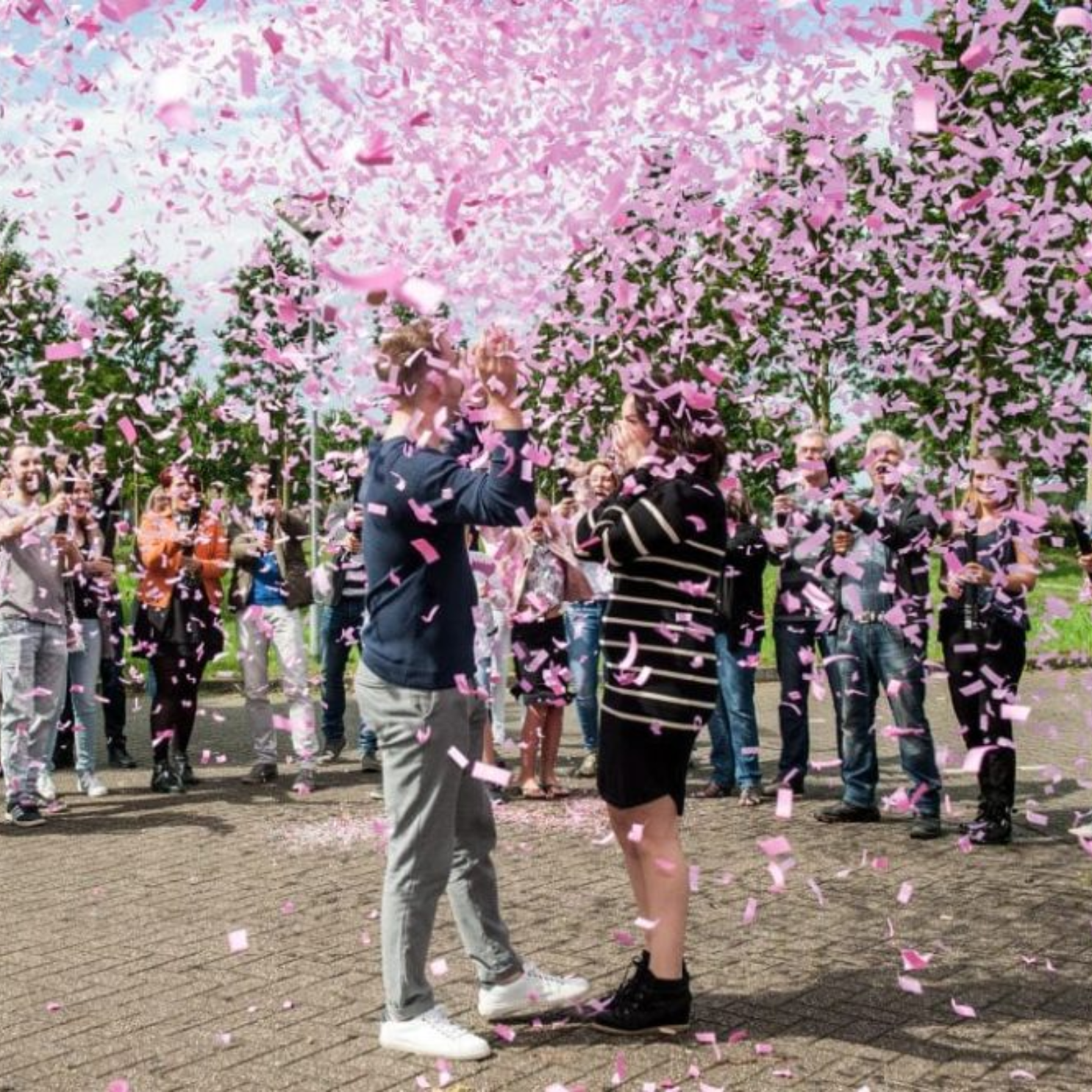 Confetti Kanonnen Gender Reveal met rode knop 3 Confetti Kanonnen Gender Reveal met rode knop - Afbeelding 3